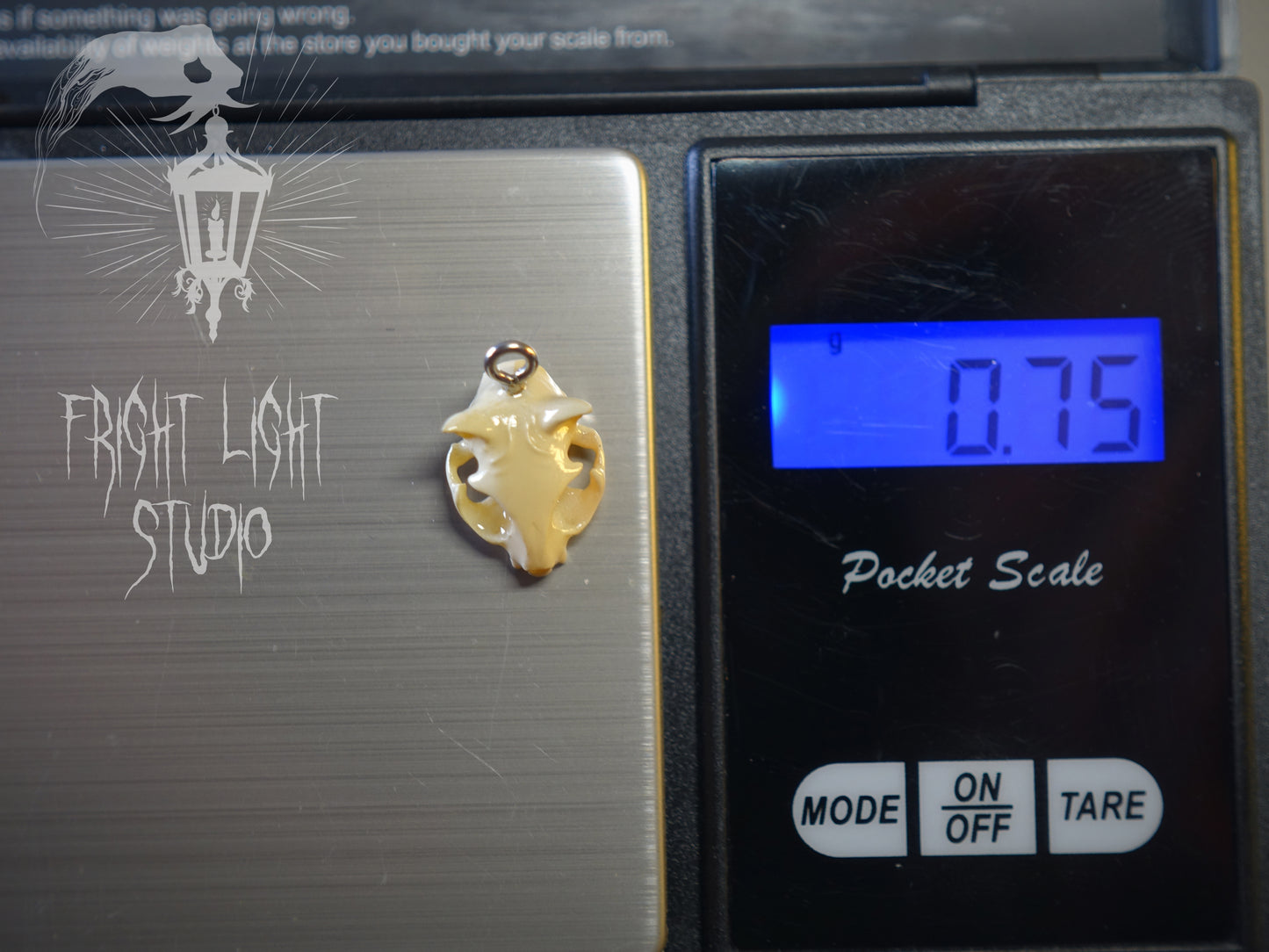 Cat Skull Glossy Bone