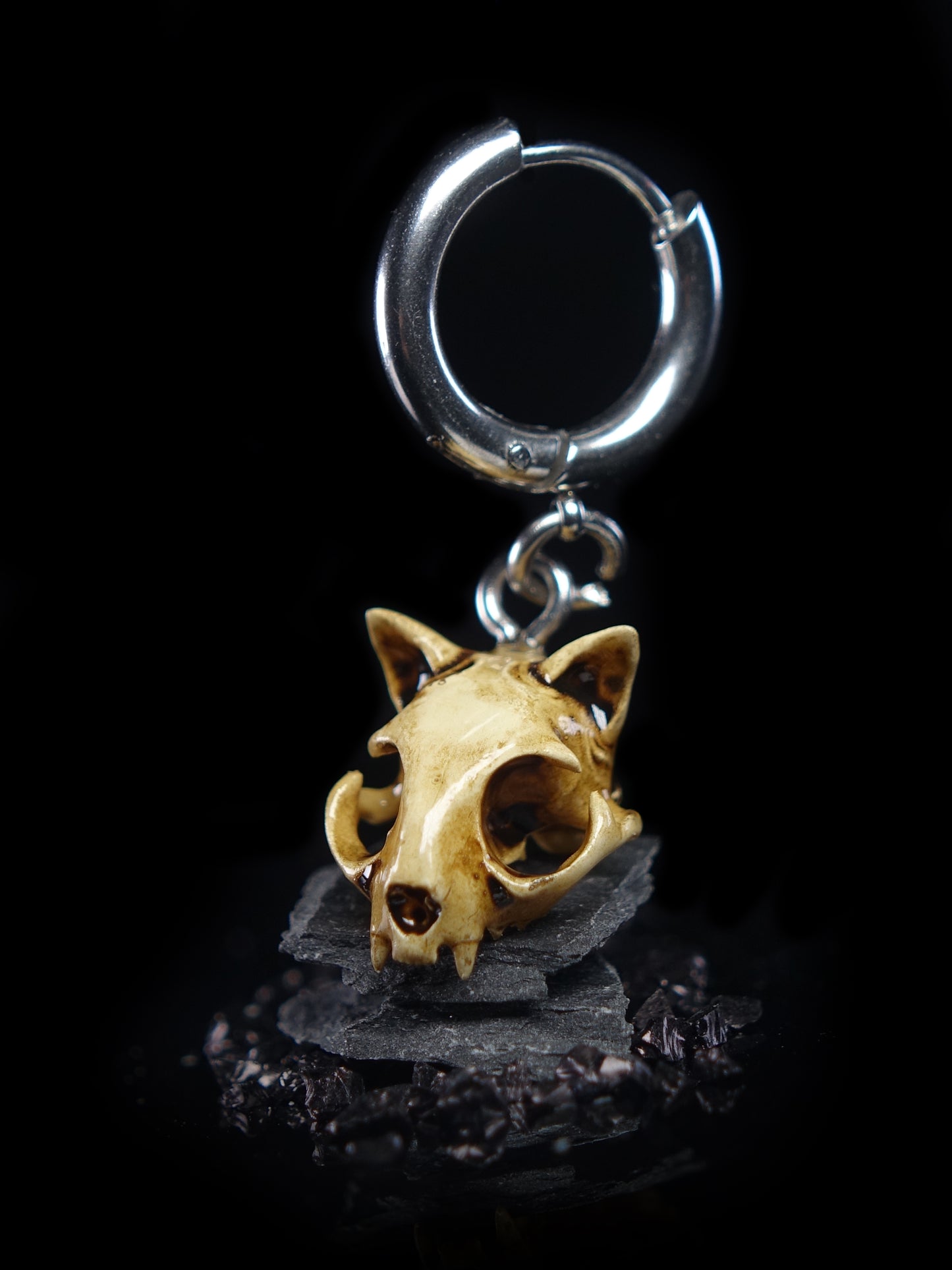 Cat Skull Old Glossy Earrings (Pair)