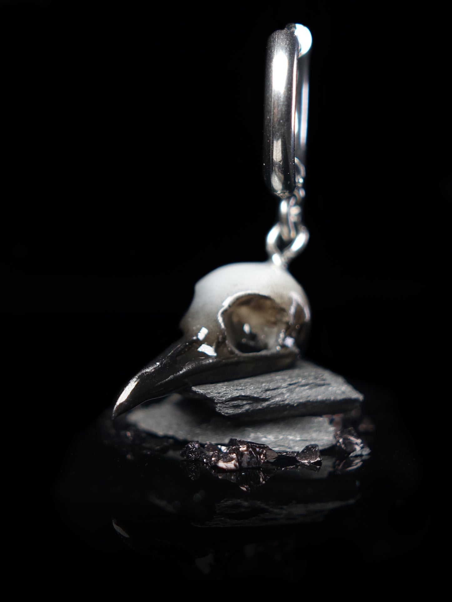 Raven Skull Ghost