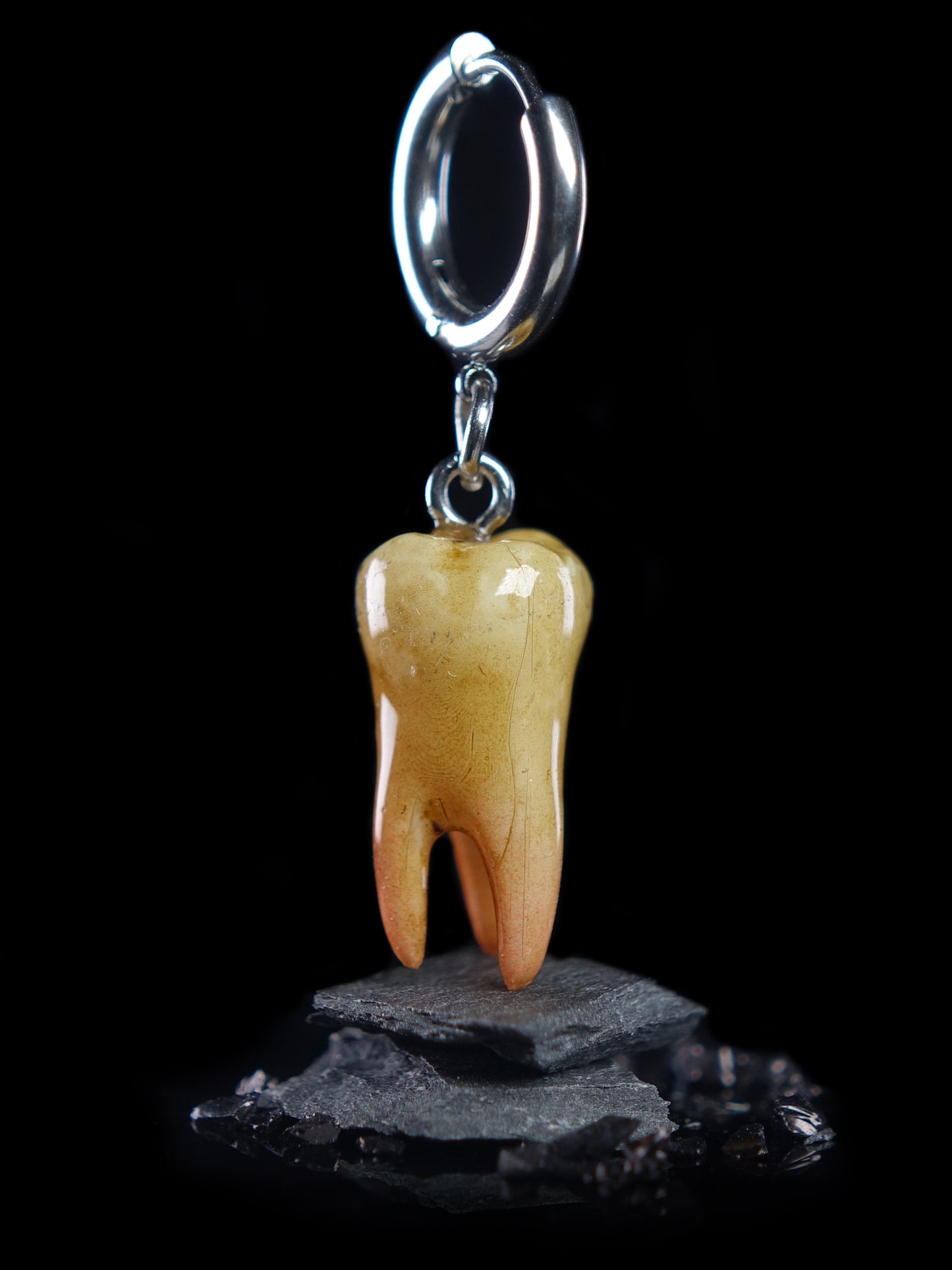 Wisdom Tooth Old Glossy Earrings