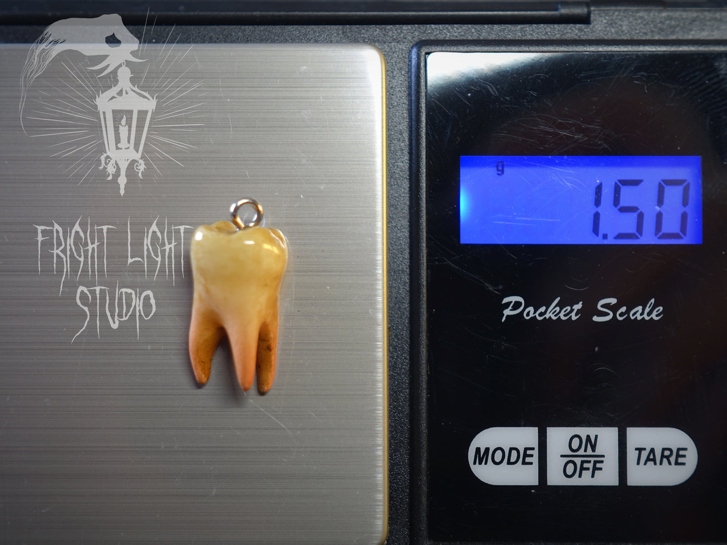 Wisdom Tooth Old Glossy Earrings