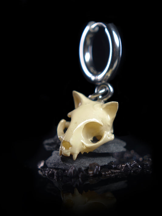 Cat Skull Glossy Bone