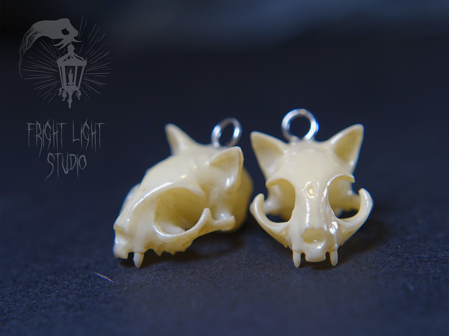 Cat Skull Glossy Bone