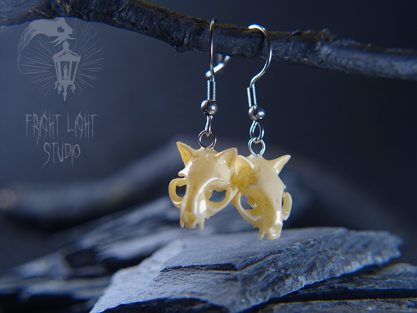 Cat Skull Glossy Bone