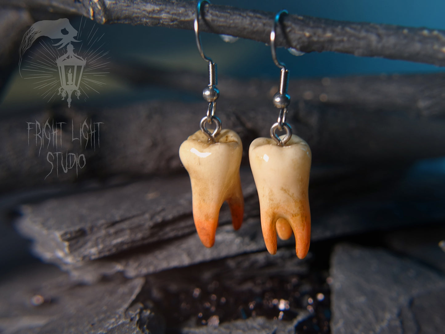 Wisdom Tooth Old Glossy Earrings