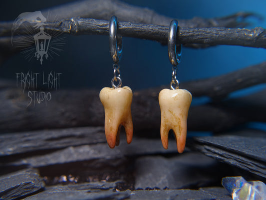 Wisdom Tooth Old Glossy Earrings