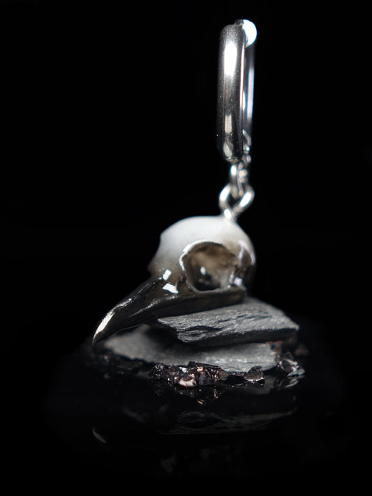 Raven Skull Ghost