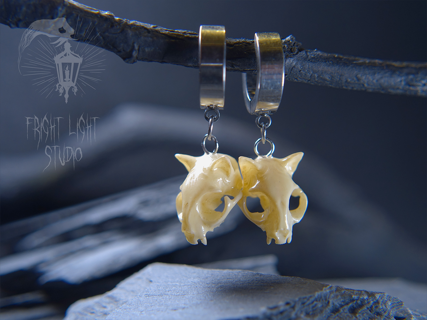 Cat Skull Glossy Bone