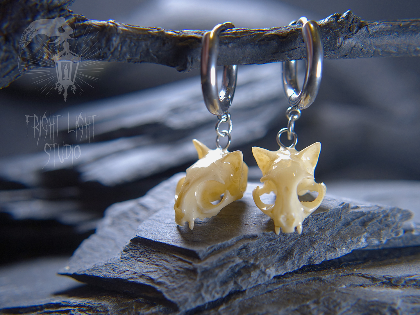 Cat Skull Glossy Bone