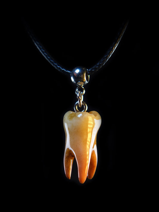 Wisdom Tooth Necklace – Gothic Oddity Pendant